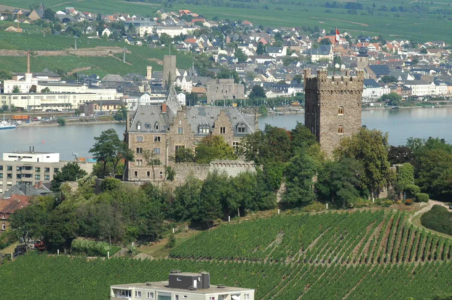 Burg Klopp - Burg Klopp