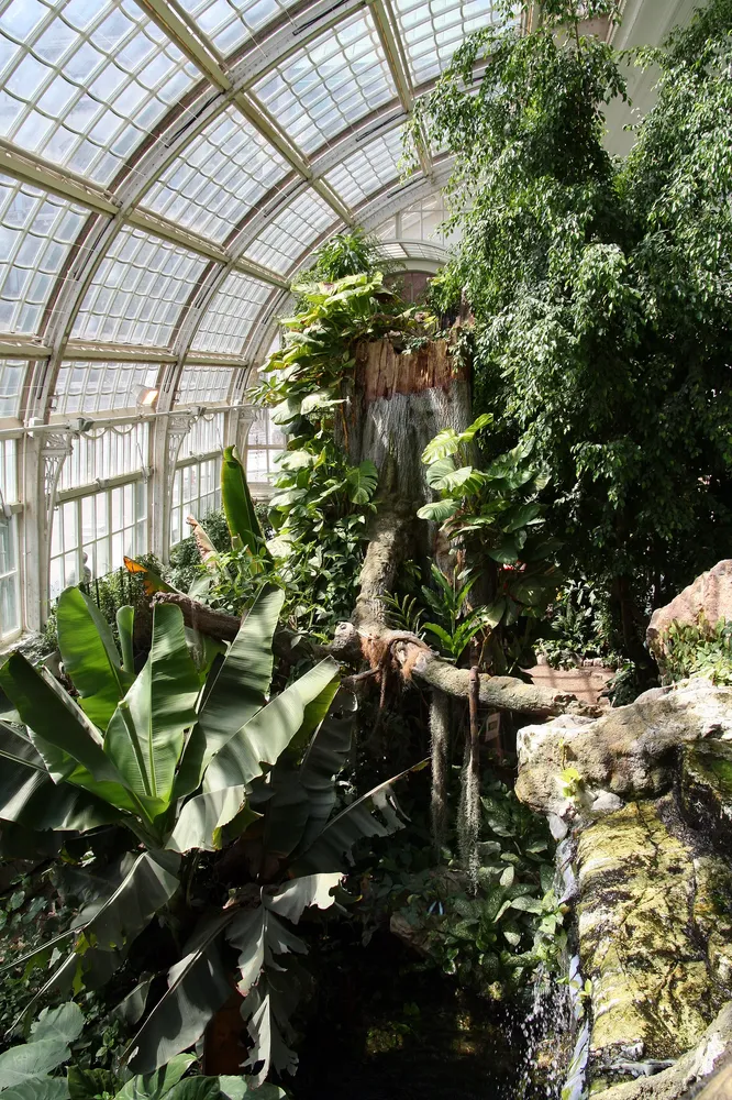 Schmetterlingshaus - Burggarten Palmenhaus-Schmetterlinghaus 2009 b