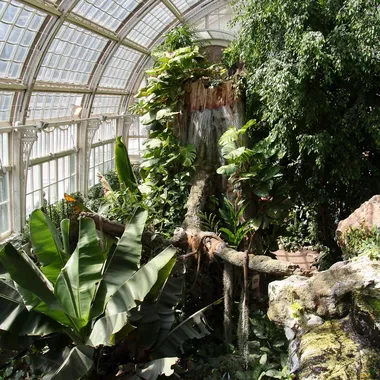 Schmetterlingshaus - Burggarten Palmenhaus-Schmetterlinghaus 2009 b
