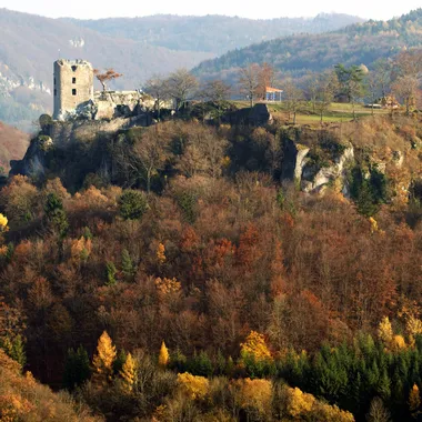 Fränkische Schweiz - Burgruine Neideck 05112008