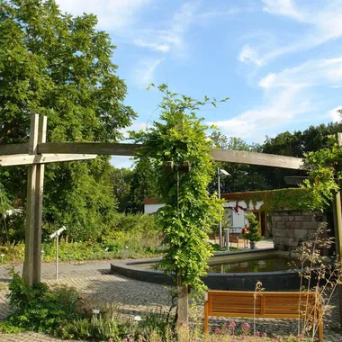 Botanischer Garten Chemnitz - Chemnitz-Botanischer-Garten2