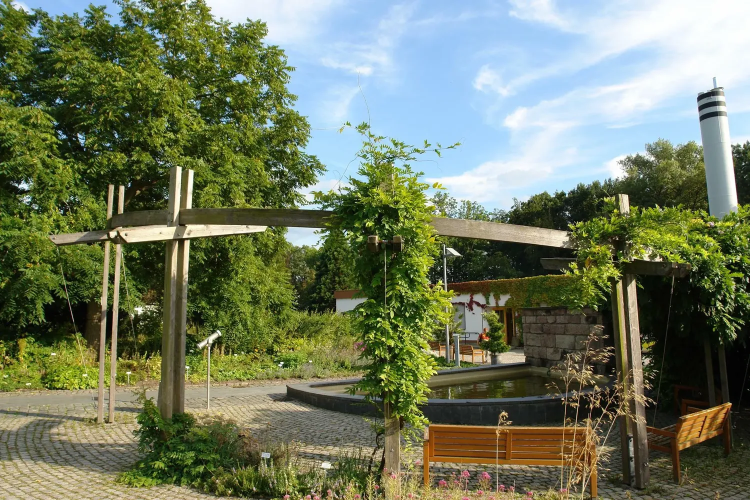 Botanischer Garten Chemnitz - Chemnitz-Botanischer-Garten2