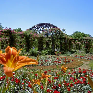 Park Rosenhöhe - Darmstadt-Rosenhoehe-Rosendom
