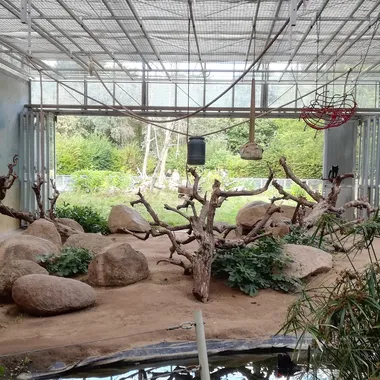 Zoo Vivarium Darmstadt - Darmstadt Vivarium Schopfmakakenhaus IMG 20200823 1715