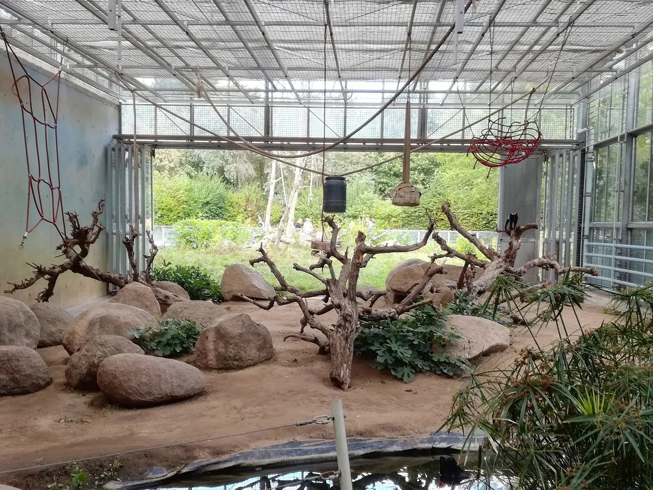 Zoo Vivarium Darmstadt - Darmstadt Vivarium Schopfmakakenhaus IMG 20200823 1715