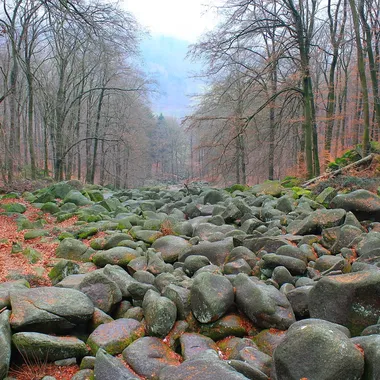 Felsenmeer in Lautertal - Das Felsenmeer 12