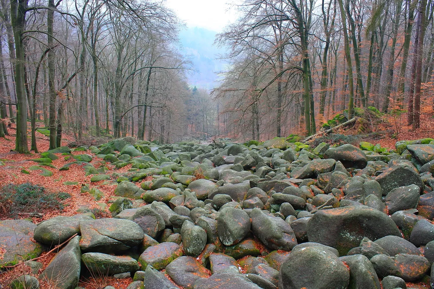 Felsenmeer in Lautertal - Das Felsenmeer 12