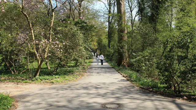 Botanischer Garten Rombergpark
