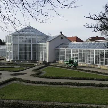 Schloss und Park Pillnitz - Dresden Schloss Pillnitz, Palmenhaus 022