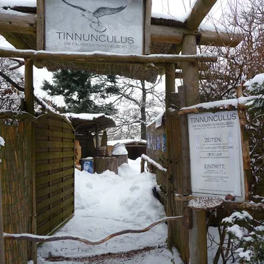 Tinnunculus – Falknerei auf dem Königstuhl - Falknerei Tinnunculus Königstuhl