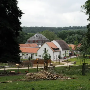 Tier- und Pflanzenpark Fasanerie - Fasanerie fg03