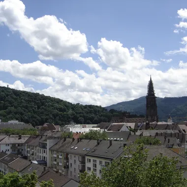 Schlossberg - Freiburg - Blick vom Fahnenbergplatz auf Münster 1