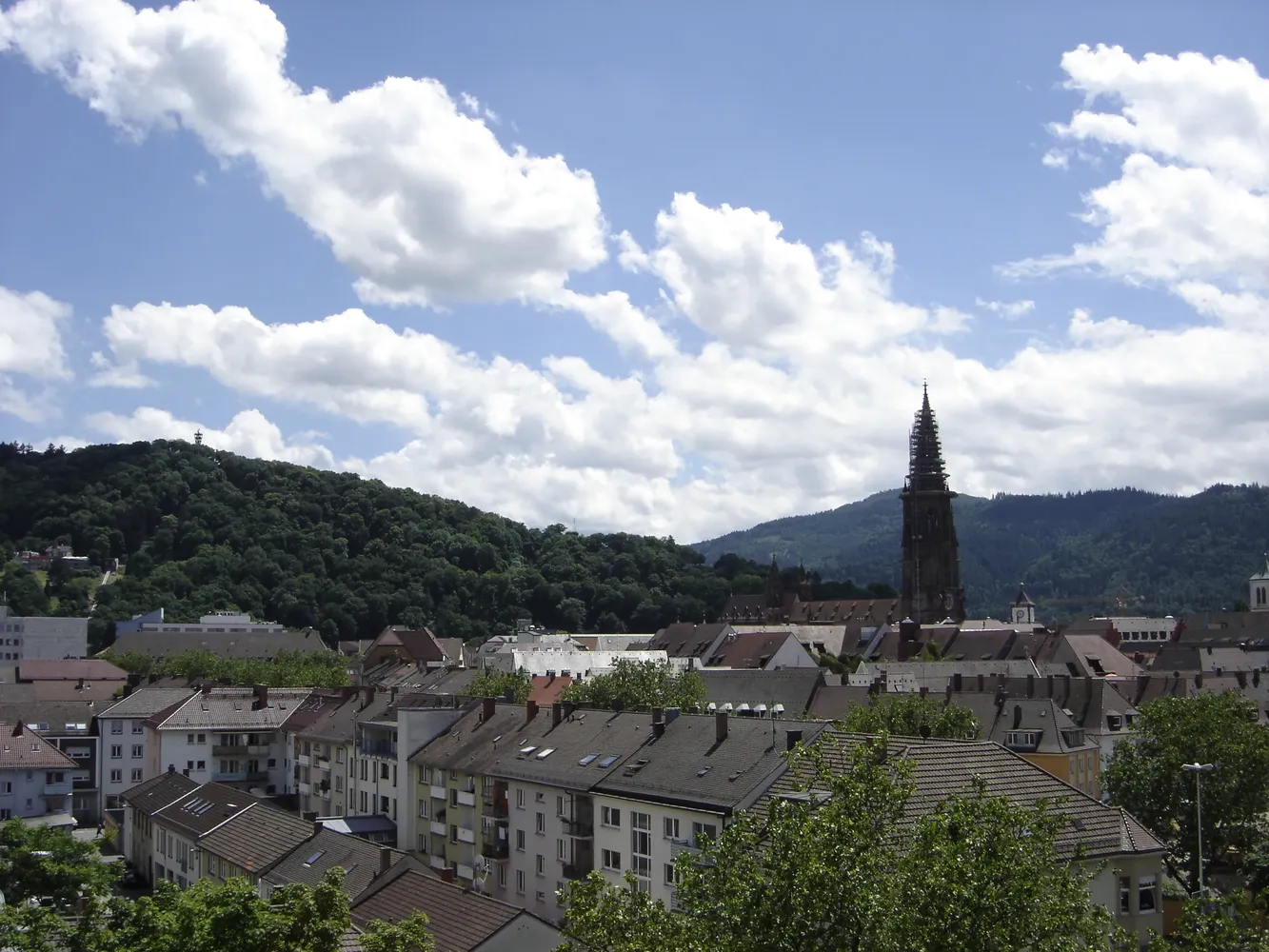 Schlossberg - Freiburg - Blick vom Fahnenbergplatz auf Münster 1