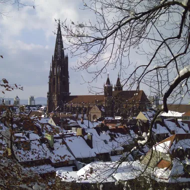Freiburger Münster - Freiburg Münster3 05 03 06