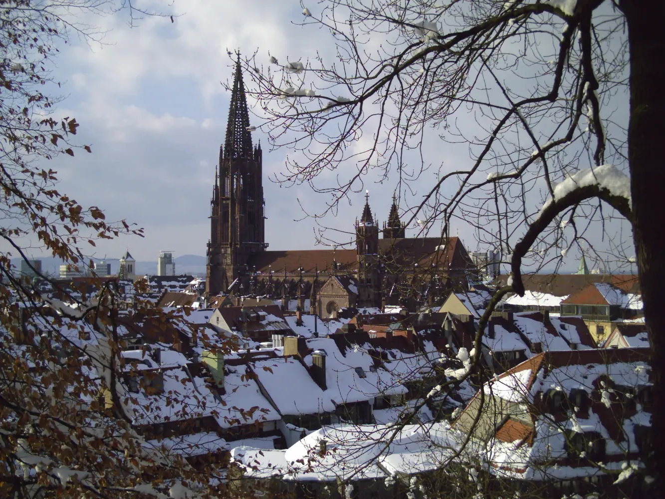 Freiburger Münster - Freiburg Münster3 05 03 06