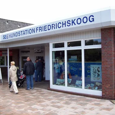 Seehundstation Friedrichskoog - Friedrichskoog Seehundstation