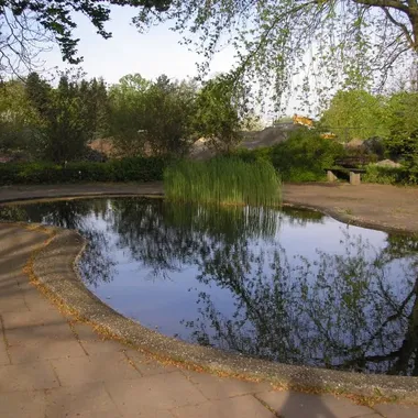 Botanischer Garten Mainz - Froschteichmainz