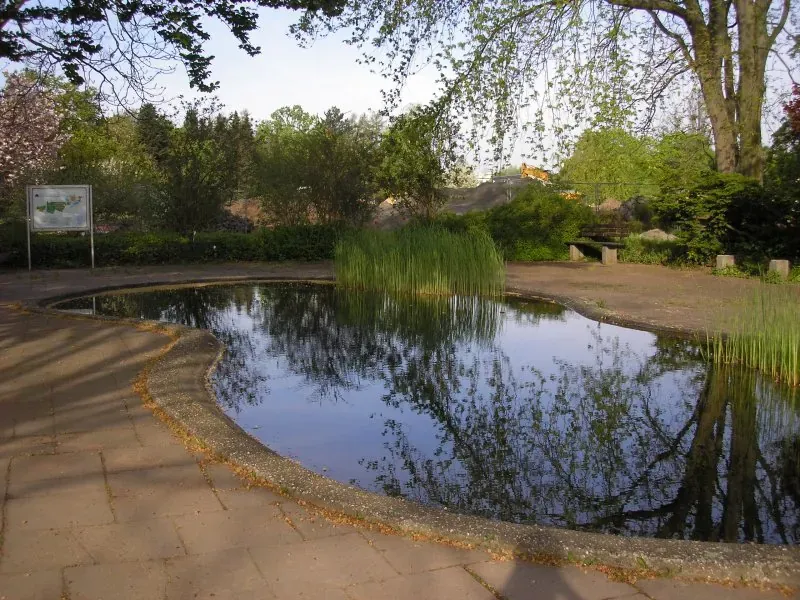 Botanischer Garten Mainz - Froschteichmainz