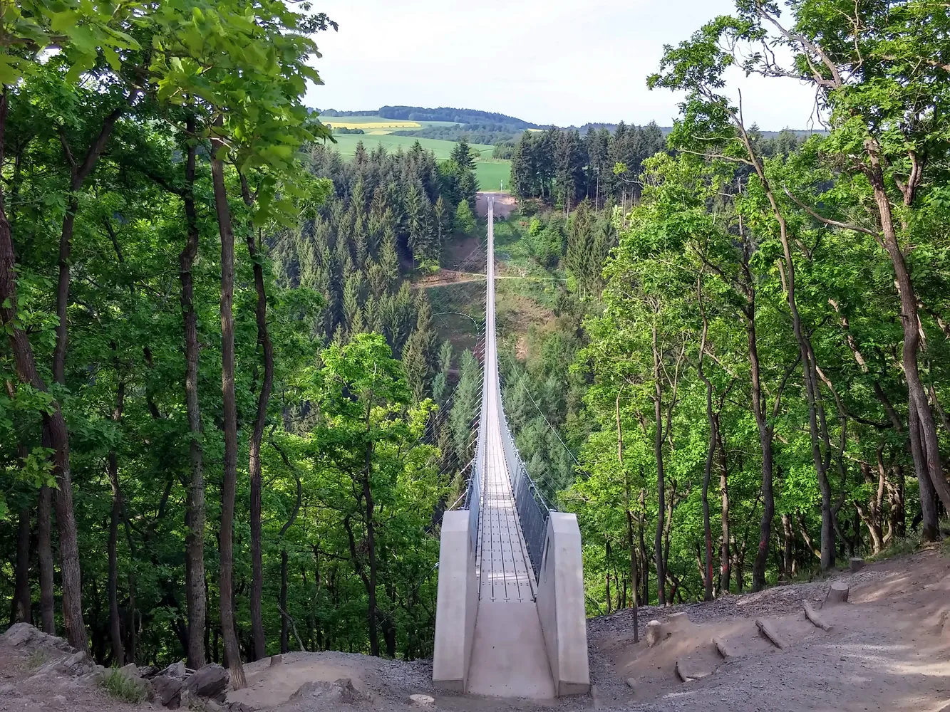 Hängeseilbrücke Geierlay - Geierlay HDR6