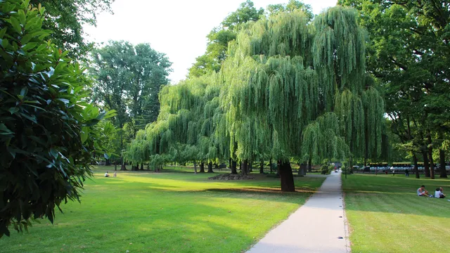 Hafenpark - Welterbegarten