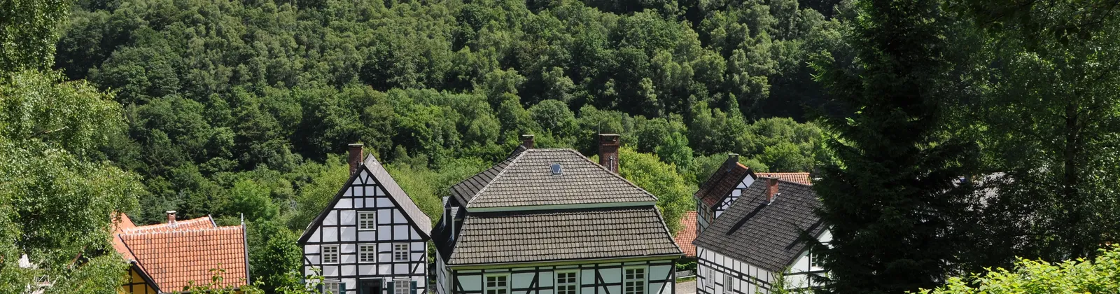 Hagen