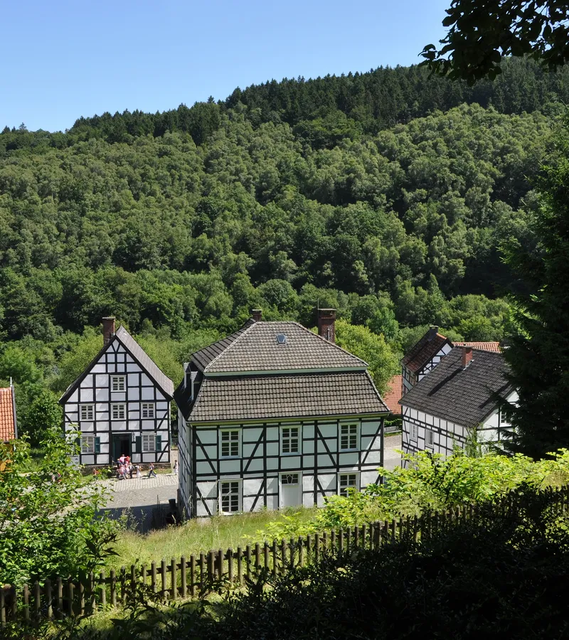 More about Hagen