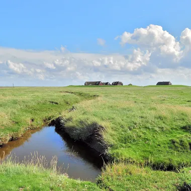 Hallig Gröde - Hallig Gröde, Germany, view from the marina