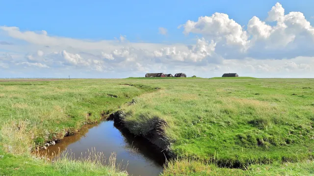 Hallig Gröde