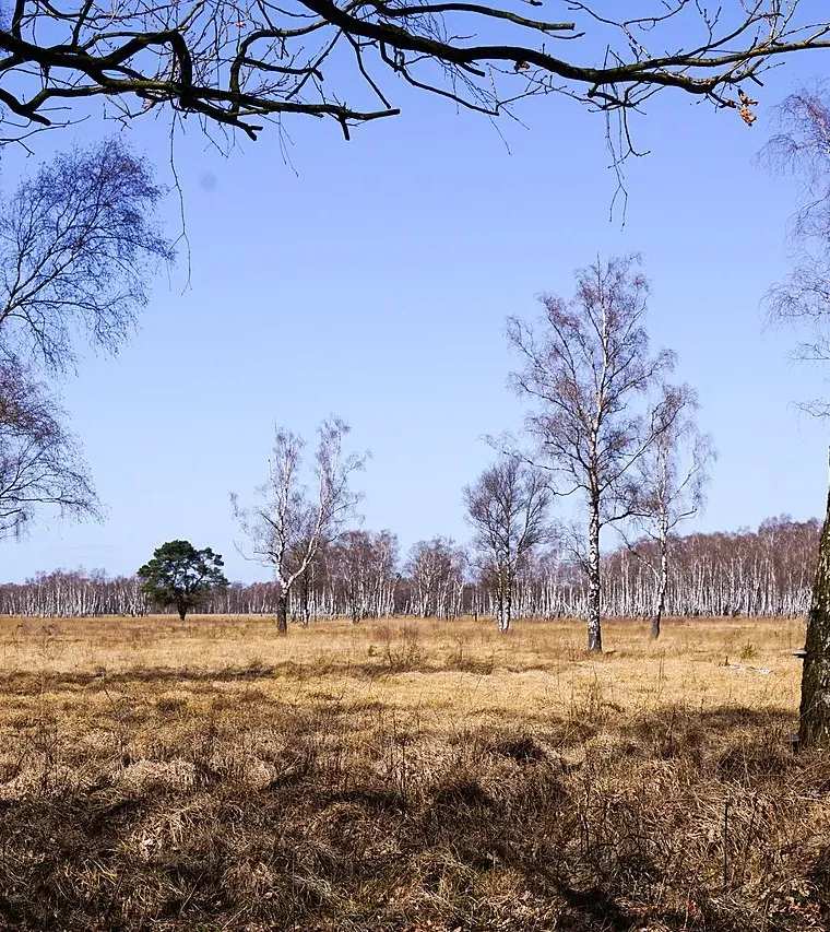 Mehr zu Hamburgs Nord-Osten