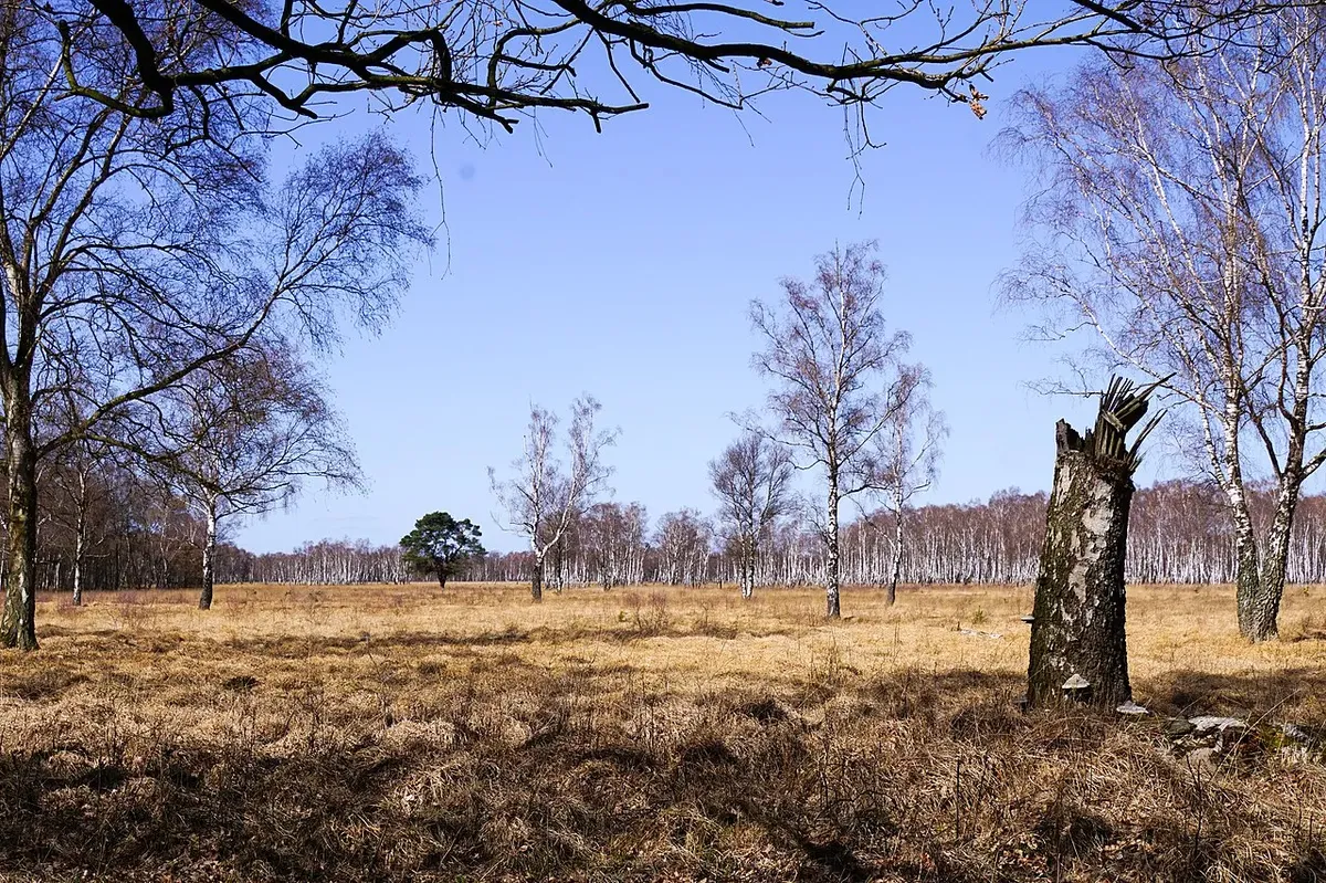 hamburg hamburg_1280px_hamburg_2c_duvenstedter_brook_01