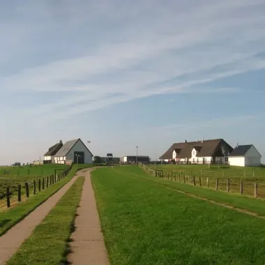 Hamburger Hallig - Hamburger Hallig gesamt