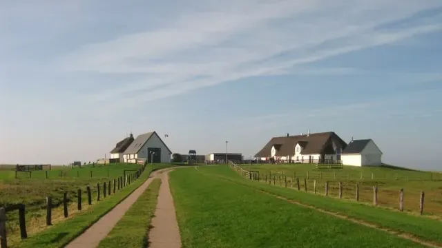 Hamburger Hallig