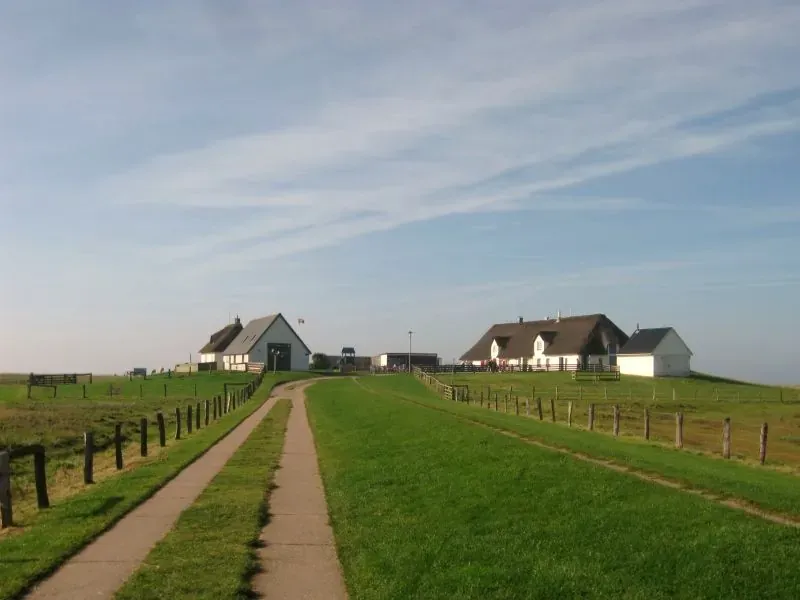 Hamburger Hallig - Hamburger Hallig gesamt