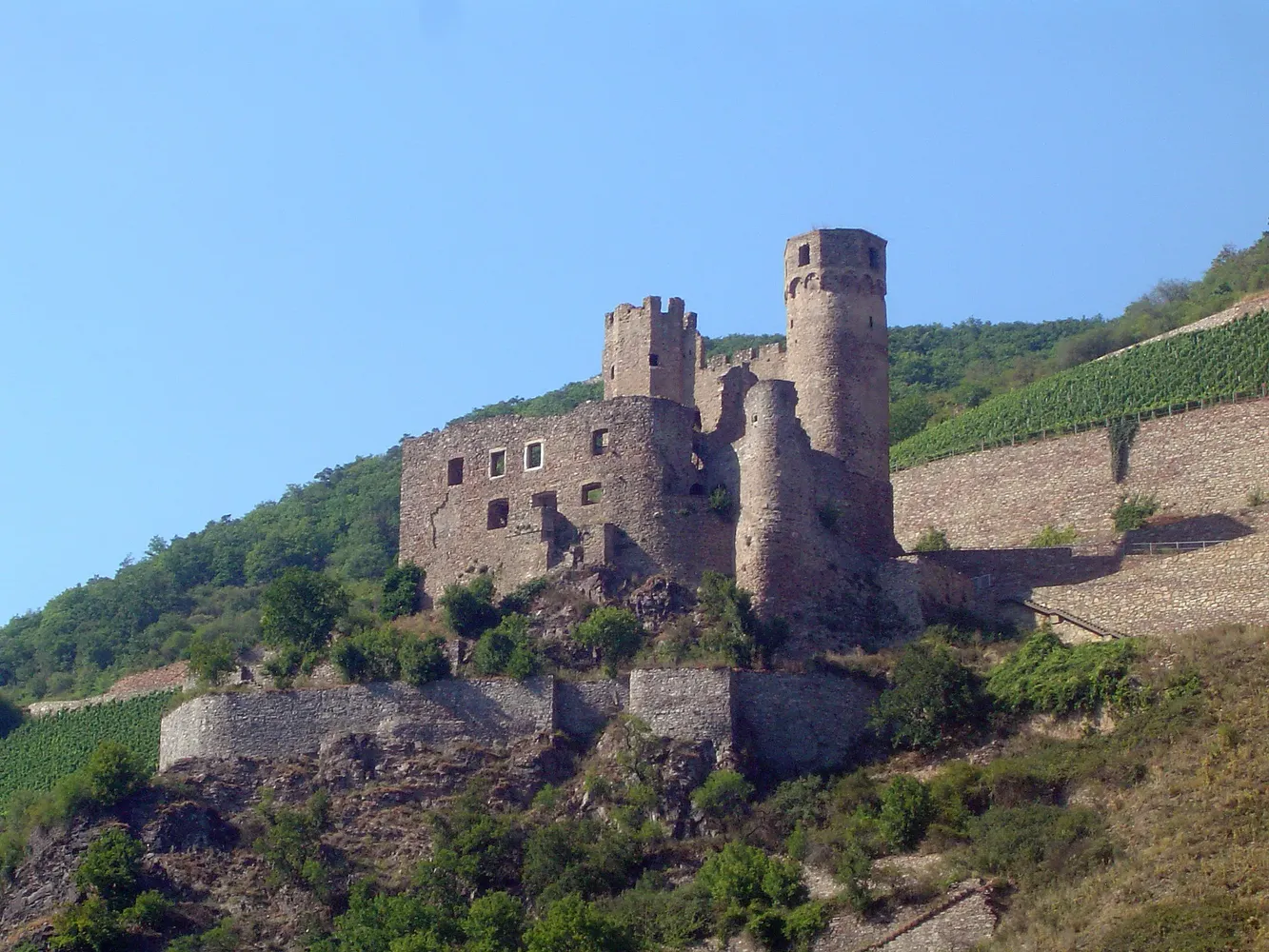 Burg Ehrenfels - HE Taunus Ruedesheim Ehrenfels 007