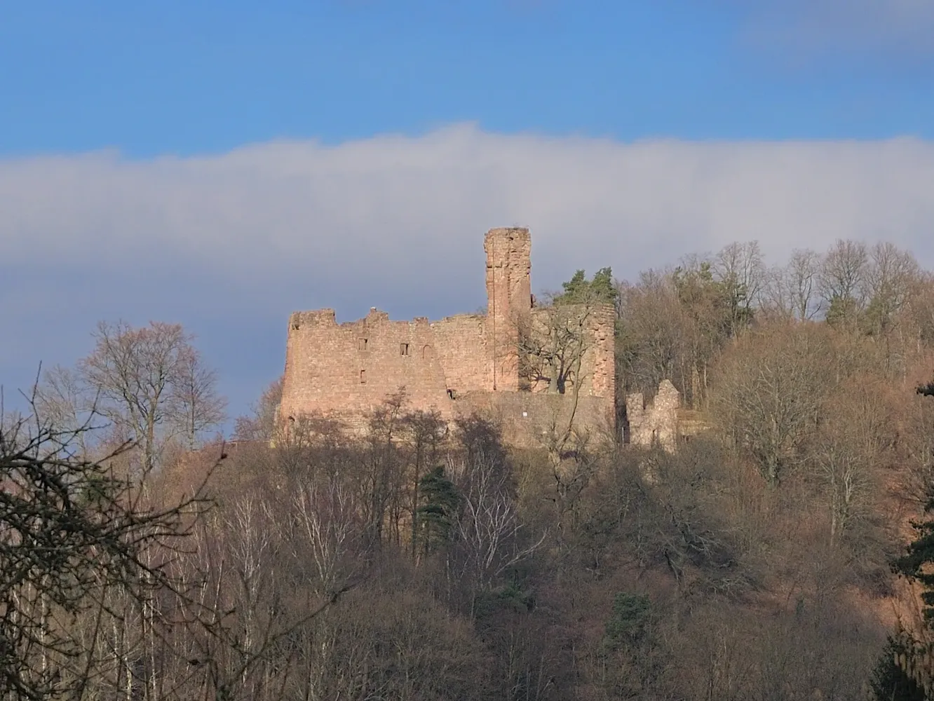 Burg Hohenecken - Hohenecken2011