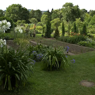 Hohenheimer Gärten - HohenheimGardens-pjt2