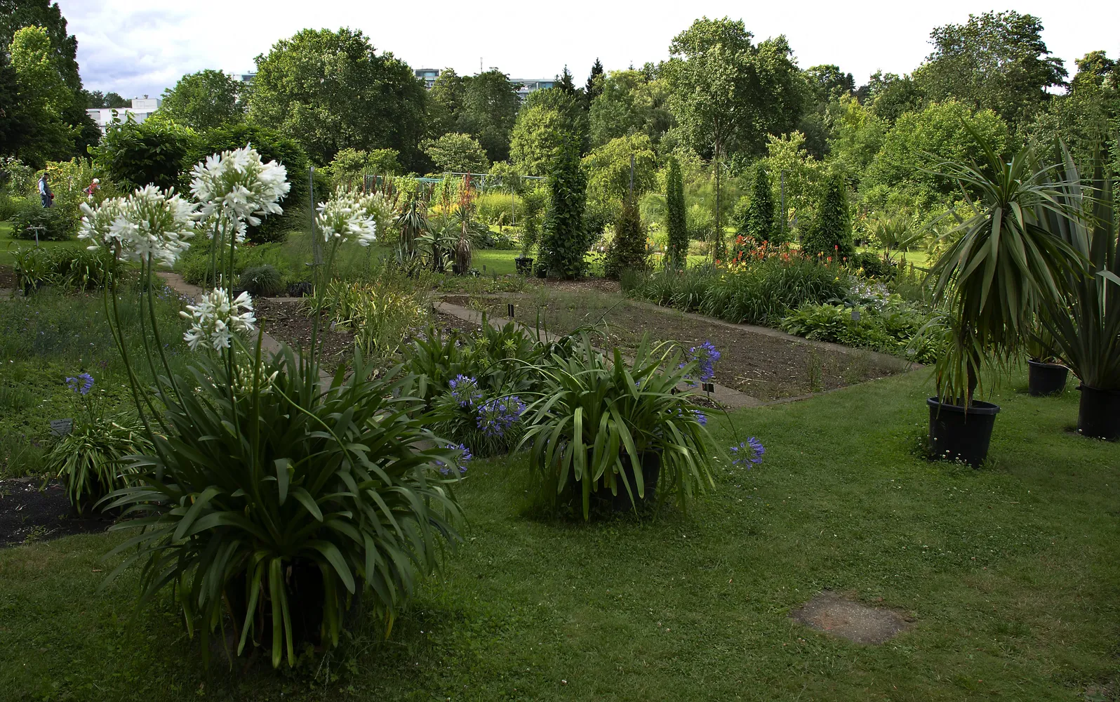 Hohenheimer Gärten - HohenheimGardens-pjt2