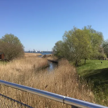 IGA Park - IGA Park Rostock