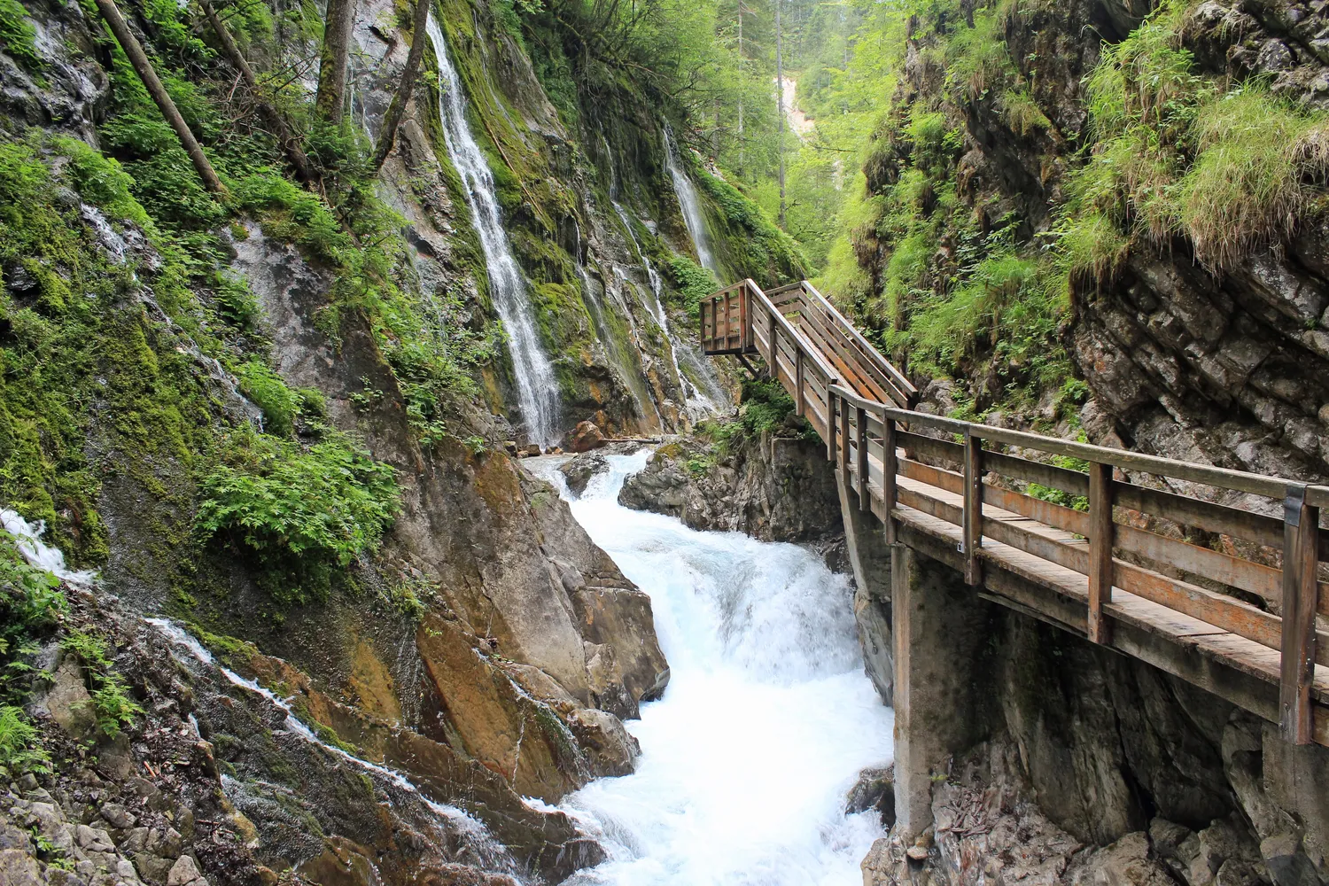 Wimbachklamm - In der Wimbachklamm (26)