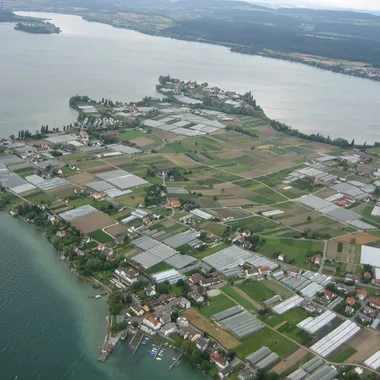 Klosterinsel Reichenau - InselReichenau 20090709 MartinSteiger CCBYSA 001
