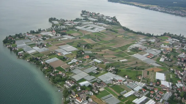 Klosterinsel Reichenau