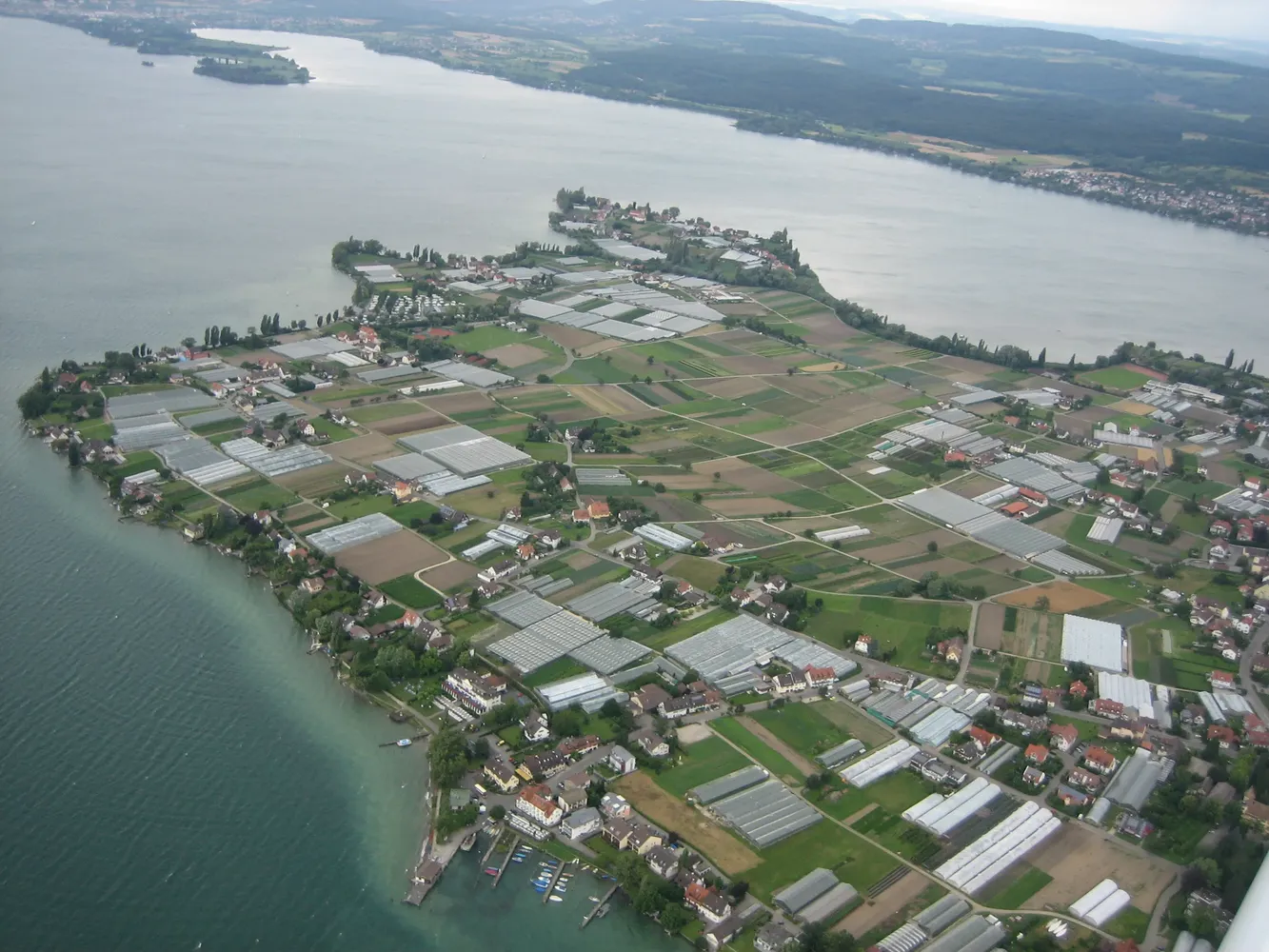 Klosterinsel Reichenau - InselReichenau 20090709 MartinSteiger CCBYSA 001