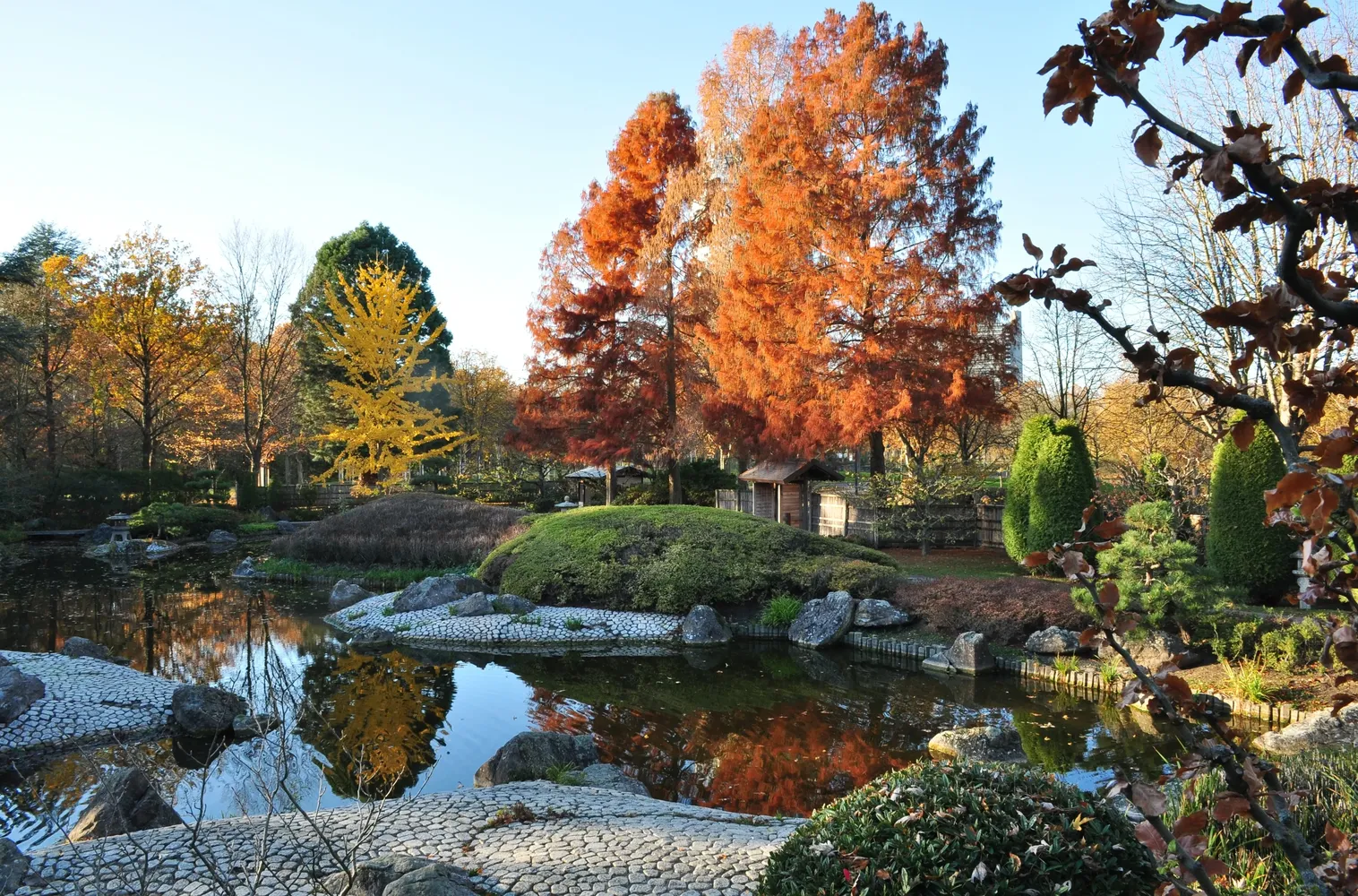 Japanischer Garten - Japanischer Garten in der Bonner Rheinaue