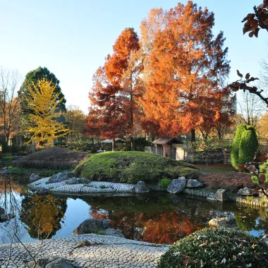 Japanischer Garten - Japanischer Garten in der Bonner Rheinaue