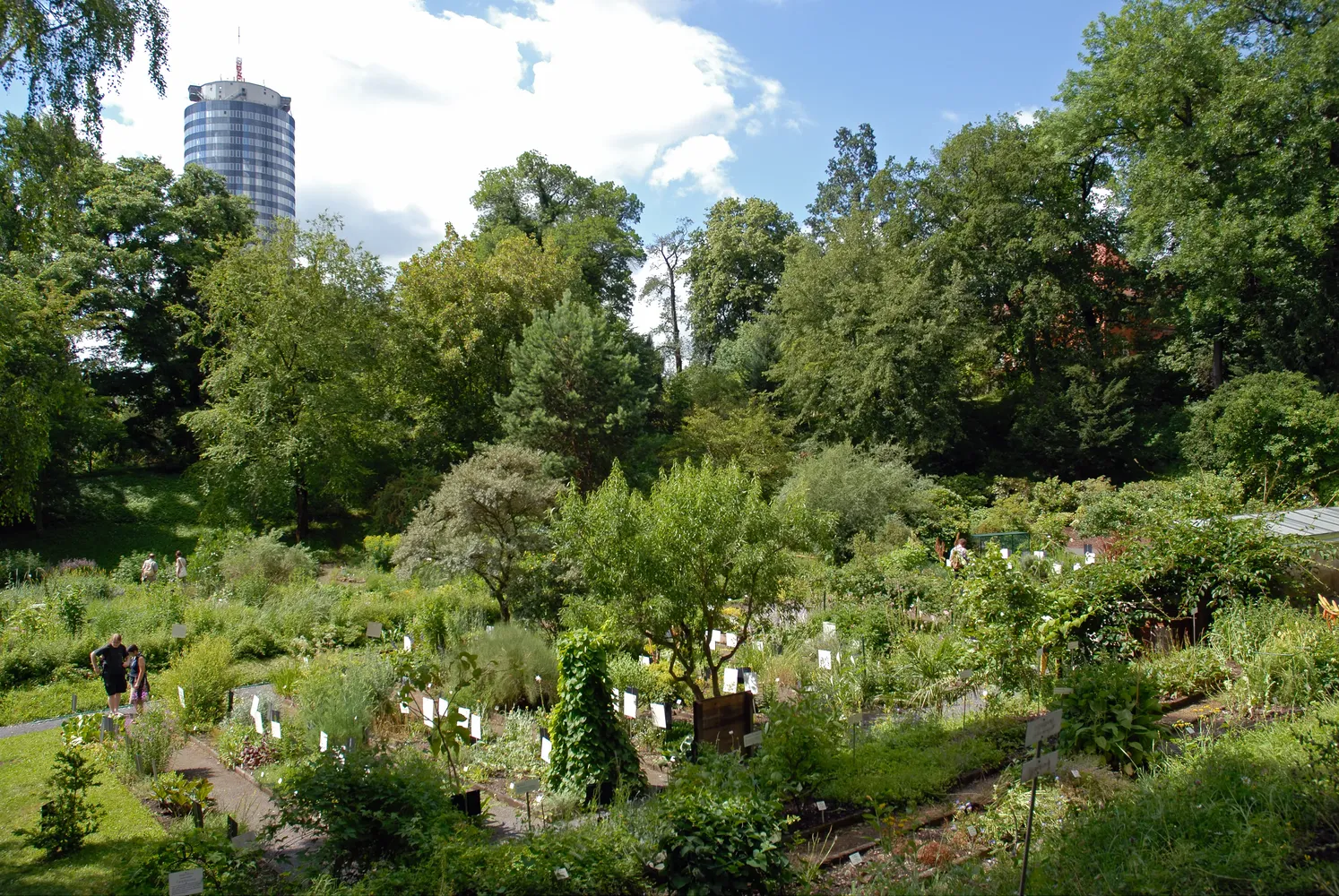 Botanischer Garten der Universität Jena - Jena - botanical garden 02 (aka)