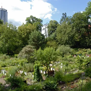 Botanischer Garten der Universität Jena - Jena - botanical garden 02 (aka)
