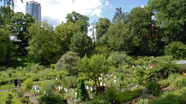 Botanischer Garten der Universität Jena