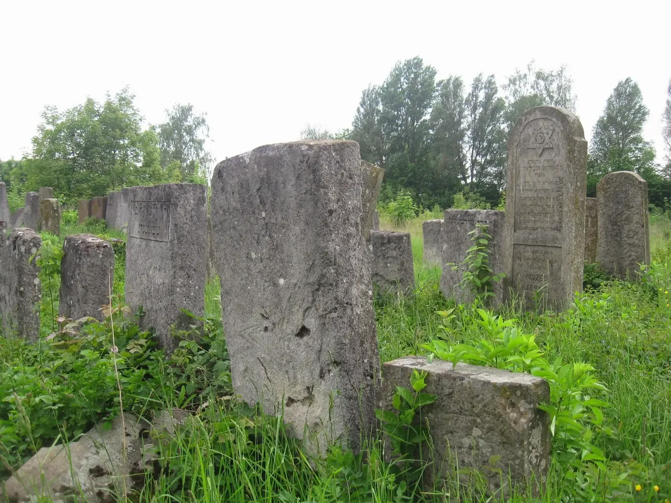 Jüdischer Friedhof - Jewish cemetery in Ternopil09