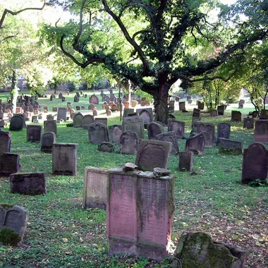 Jüdischer Friedhof "Heiliger Sand" - Jewish cemetery Worms