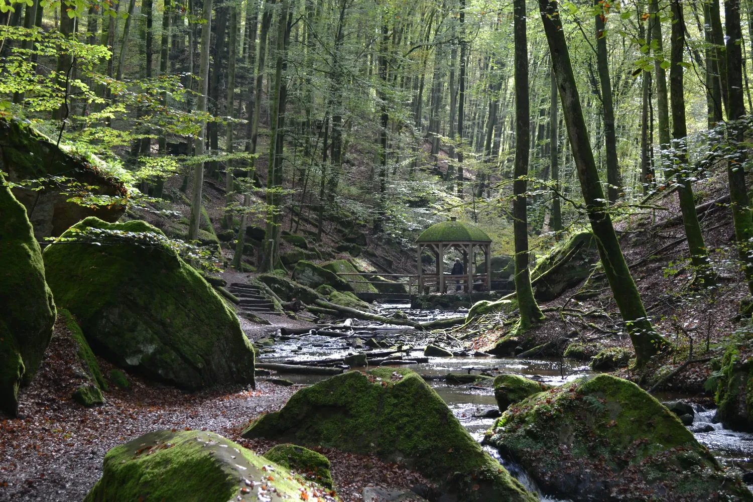 Karlstalschlucht - Karlstal 102